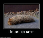 Саяногорск Инфо - Присоединённое изображение