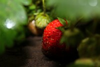 Саяногорск Инфо - Присоединённое изображение