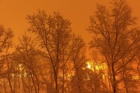 Саяногорск Инфо - Присоединённое изображение
