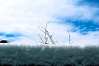 Саяногорск Инфо - Присоединённое изображение