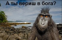 Саяногорск Инфо - Присоединённое изображение