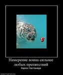 Саяногорск Инфо - Присоединённое изображение