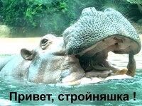 Саяногорск Инфо - Присоединённое изображение