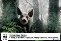 Саяногорск Инфо - Присоединённое изображение