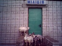Саяногорск Инфо - Присоединённое изображение