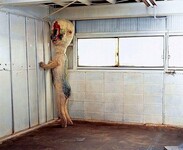Саяногорск Инфо - Присоединённое изображение