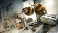 Саяногорск Инфо - Присоединённое изображение