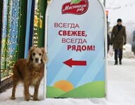 Саяногорск Инфо - Присоединённое изображение