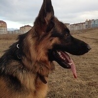Фото