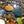 aleks.mamaev