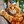 auroracoon777