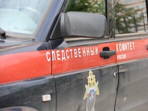 В Хакасии связали и убили 13-летнюю девочку