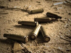 В Австрии неизвестный открыл огонь по толпе во время концерта