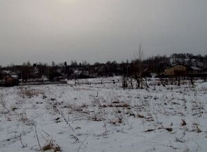 Саяногорск всполошило сообщение о медведе