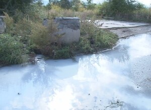 Саяногорск заливают молочные стоки