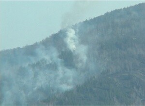 Лес загорелся от искры электропровода