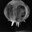 dr.Rasputin
