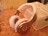 Продам наушники beats.by dr.dre beats.pro MONSTER