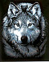Sever