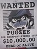 Pugzee