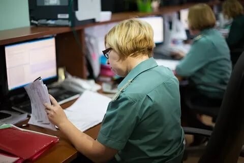 Саяногорск Инфо - Таможенное классификационное решение: зачем нужно и как его получить - custom.jpg