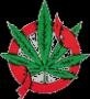 Zzer0