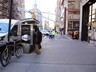 В центре Нью-Йорка появилась кабинка для мастурбации