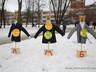 В Ярославле прошли «альтернативные» масленичные гуляния
