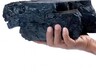 Загнали в уголь: власти Хакасии ищут черную кошку в темной комнате