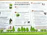 В Саяногорске клещи покусали больше полутысячи человек