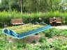 Саяногорцев приглашают на «Кинолето под звездами»