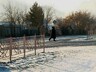 Страшные жертвы майнского перекрестка пугают не всех пешеходов