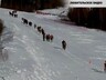 Саяногорцы заняли почти весь пьедестал Чемпионата Хакасии по скайранингу