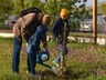 Вокруг Саяногорской больницы появился фруктовый сад
