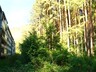 В Саяногорске и поселках будут удалять аварийные деревья