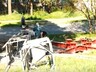 Вышка сотовой связи спровоцировала конфликт в Черемушках