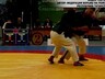 Саяногорская спортсменка завоевала серебро на чемпионате мира по борьбе на поясах