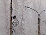 В этом году сирены в Саяногорске включат дважды