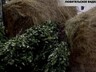 Охотники Саяногорска встали на защиту диких животных