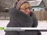 Бродячая собака напала на ребенка в Майна