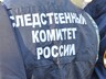 Причину смерти мальчика из Майна устанавливает экспертиза