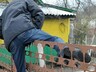 Молодой саяногорец несколько месяцев хранил украденное