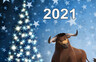 Поздравляем с наступающим Новым 2021 годом!