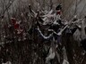 ОНФ Хакасии взял на контроль проблему с замусориванием КСРЗ в Саяногорске
