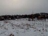 Саяногорск всполошило сообщение о медведе