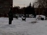 Художественную школу Саяногорска терроризирует собака с щенками