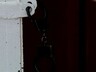Жительница Саяногорска более полутора лет проведет в колонии за неуплату алиментов