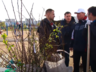 Очередная Зеленая волна прокатится по Саяногорску