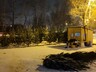 Абаканское парковое хозяйство принимает на переработку новогодние пихты и ели
