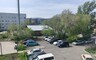Саяногорск станет зеленее на 750 растений